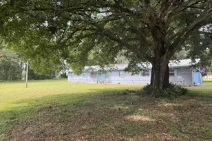 9581 McIntosh Rd, Dover, FL 33527 - Photo 12