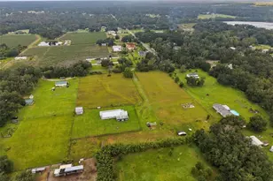 9124 Carey Rd, Lithia, FL 33547 - Photo 58