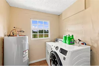 9124 Carey Road, Lithia, FL 33547 - Photo 38