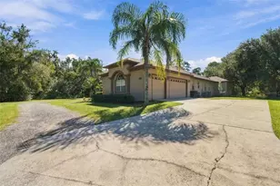 13887 Gavin Rd, Dover, FL 33527 - Photo 30