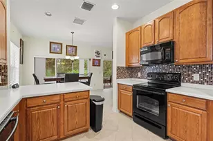 10710 Shady Preserve Dr, Riverview, FL 33579 - Photo 10