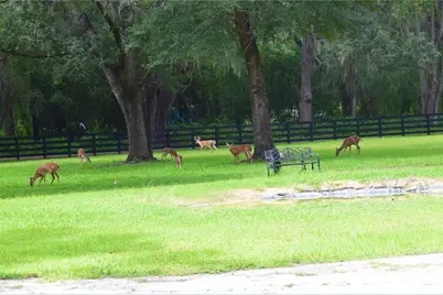 6012 NW 168th Street, Alachua, FL 32615 - Photo 24