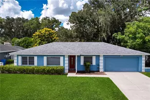 903 Tangelo Pl, Brandon, FL 33510 - Photo 1