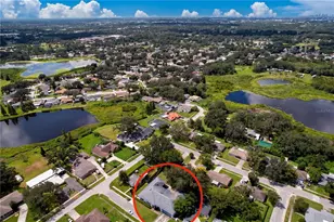 903 Tangelo Pl, Brandon, FL 33510 - Photo 16
