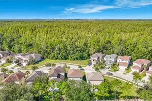 7885 Tuscany Woods Dr, Tampa, FL 33647 - Photo 60