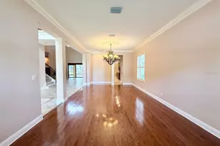 12808 Eagles Entry Dr, Odessa, FL 33556 - Photo 16
