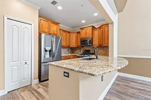 2733 Via Cipriani, Clearwater, FL 33764 - Photo 10