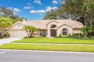 2715 Country Woods Ln, Palm Harbor, FL 34683 - Photo 1