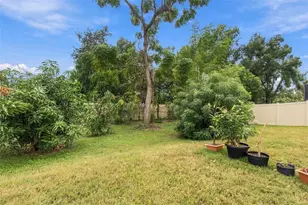 1015 Tracey Ann Loop, Seffner, FL 33584 - Photo 66