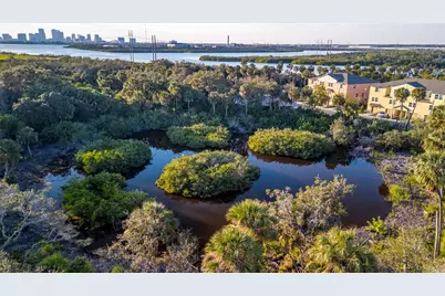 4547 Tuscan Loon Drive, Tampa, FL 33619 - Photo 30