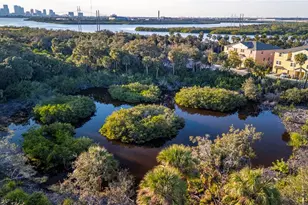 4547 Tuscan Loon Dr, Tampa, FL 33619 - Photo 30