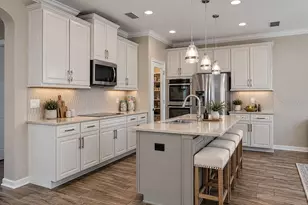 29164 Perilli Pl, Wesley Chapel, FL 33543 - Photo 8