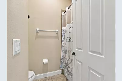 17314 San Aringo Place, Lutz, FL 33548 - Photo 64