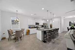10619 Scenic Hollow Dr, Riverview, FL 33578 - Photo 12