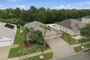 11009 Rockledge View Dr, Riverview, FL 33579 - Photo 68