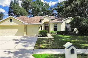 14915 Devonshire Woods Pl, Tampa, FL 33624 - Photo 1