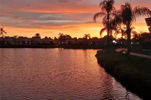 4324 Tahitian Gardens Cir, Holiday, FL 34691 - Photo 38