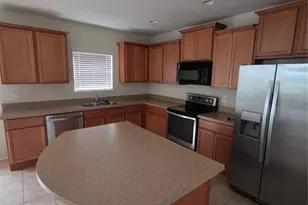 4816 Chatterton Way, Riverview, FL 33578 - Photo 4