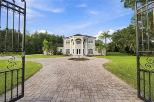 19153 Geraci Rd, Lutz, FL 33558 - Photo 2