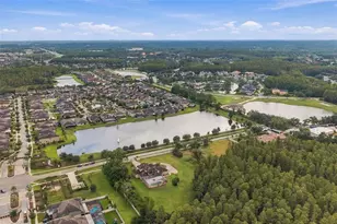 19153 Geraci Rd, Lutz, FL 33558 - Photo 48