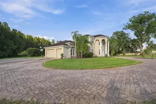 19153 Geraci Rd, Lutz, FL 33558 - Photo 6