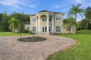 19153 Geraci Rd, Lutz, FL 33558 - Photo 4