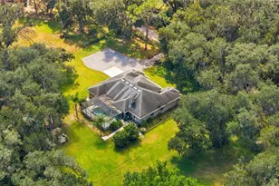 6910 Charles Humphrey Rd, Plant City, FL 33565 - Photo 40