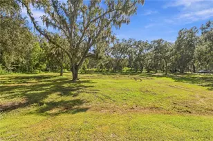 6910 Charles Humphrey Rd, Plant City, FL 33565 - Photo 38