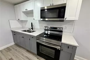 1021 E Cayuga St, Tampa, FL 33603 - Photo 28