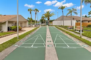1708 Pine Ridge Way E, Palm Harbor, FL 34684 - Photo 20