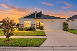 31938 Treasure Dock Isle, Wesley Chapel, FL 33545 - Photo 1