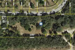 13055 Morris Bridge Rd, Thonotosassa, FL 33592 - Photo 1