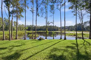 2664 Wilsky Rd, Land O Lakes, FL 34639 - Photo 4
