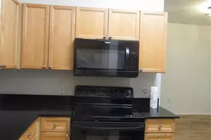 18035 Melibee Stone St, Tampa, FL 33647 - Photo 4
