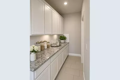 140 Bright Ibis Avenue, Apollo Beach, FL 33572 - Photo 12