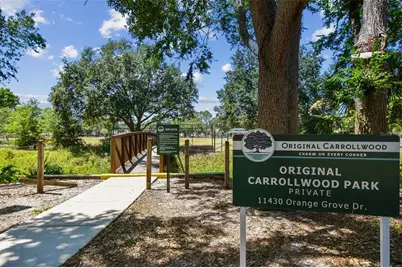 3306 Nakora Drive, Tampa, FL 33618 - Photo 48