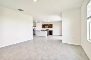 2774 Common Fig Run, Wesley Chapel, FL 33543 - Photo 10