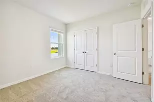 2774 Common Fig Run, Wesley Chapel, FL 33543 - Photo 28