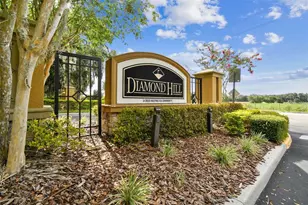 1519 Brilliant Cut Way, Valrico, FL 33594 - Photo 62