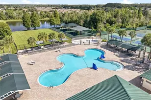 30726 Tremont Dr, Wesley Chapel, FL 33543 - Photo 46