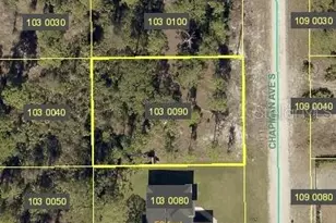 848 Chapman Ave S, Lehigh Acres, FL 33974 - Photo 1
