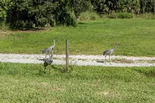 2267 50th St Circle, Palmetto, FL 34221 - Photo 40