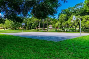 874 Pinewood Terrace W, Palm Harbor, FL 34683 - Photo 68