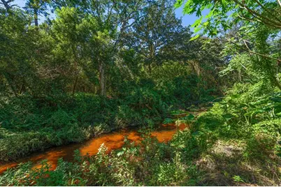 1652 Hobbit Road, Dunedin, FL 34698 - Photo 36