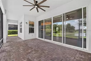 31142 Lindentree Dr, Wesley Chapel, FL 33543 - Photo 20