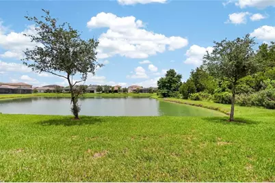 31142 Lindentree Drive, Wesley Chapel, FL 33543 - Photo 22