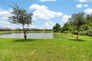 31142 Lindentree Dr, Wesley Chapel, FL 33543 - Photo 22