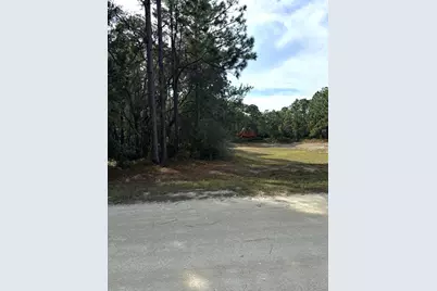 16154 Malden Road, Weeki Wachee, FL 34614 - Photo 4
