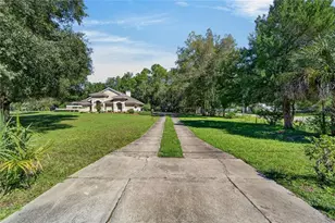 28329 Lindenhurst Dr, Wesley Chapel, FL 33544 - Photo 68