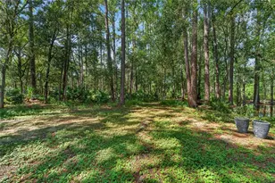 28329 Lindenhurst Dr, Wesley Chapel, FL 33544 - Photo 70